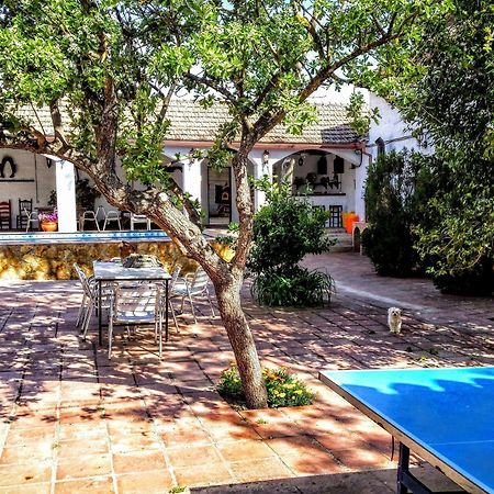 Alojamiento Rural El Cortijuelo Otel Illora Dış mekan fotoğraf