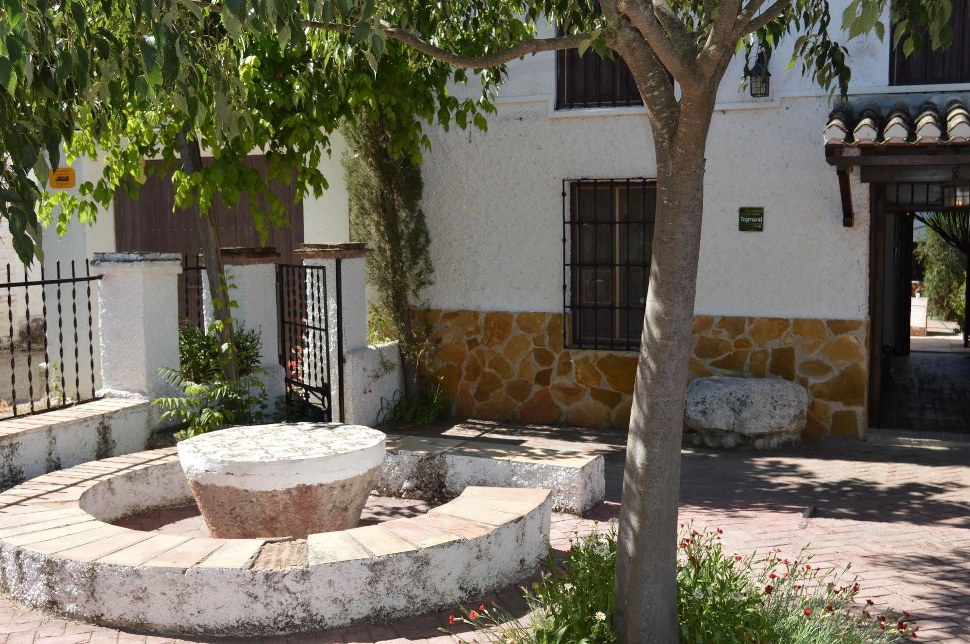 Alojamiento Rural El Cortijuelo Otel Illora Dış mekan fotoğraf